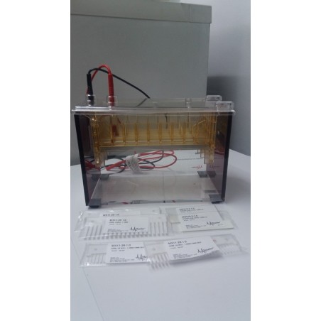 Wide-Mini Vertical Electrophoresis Unit. Marca Hoefer
