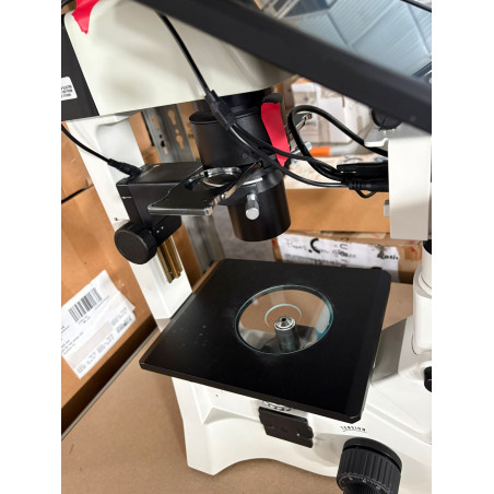 MICROSCOPIO INVERTIDO MOTIC AE31E