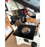 MICROSCOPIO INVERTIDO MOTIC AE31E