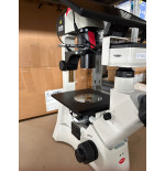 MICROSCOPIO INVERTIDO MOTIC AE31E