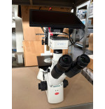 MICROSCOPIO INVERTIDO MOTIC AE31E