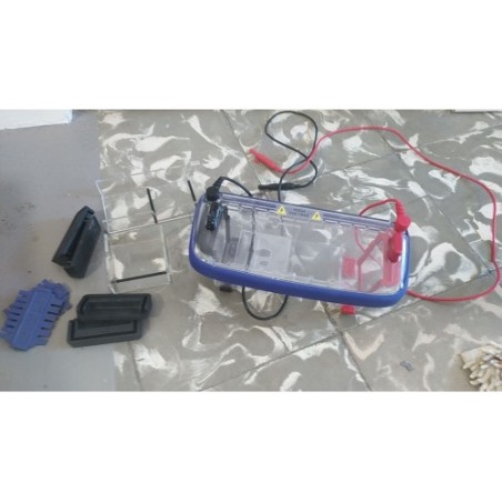 Kit de electroforesis de ADN (EDVOTEK)