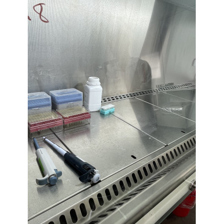 Campana de flujo laminar