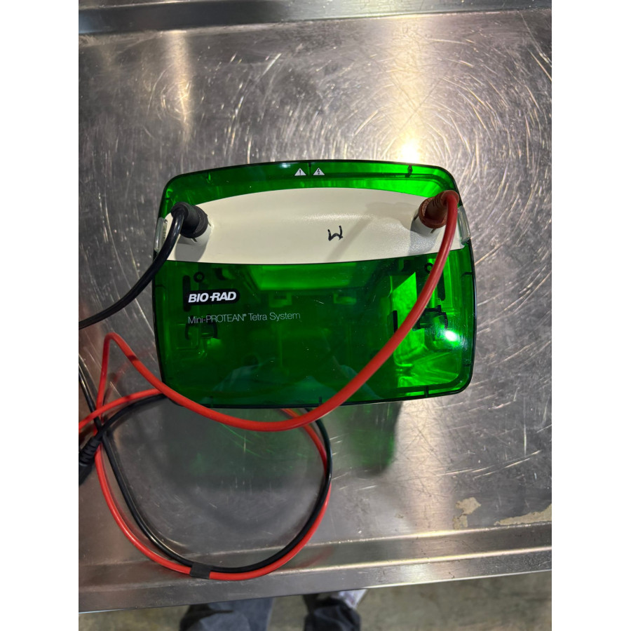 BIO-RAD MINI-PROTEAN® TETRA CELL